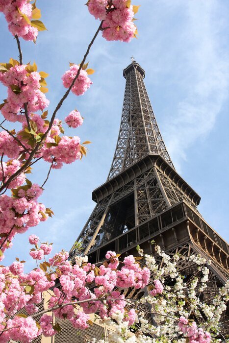 Canvas Eiffeltoren tussen roze bloemen