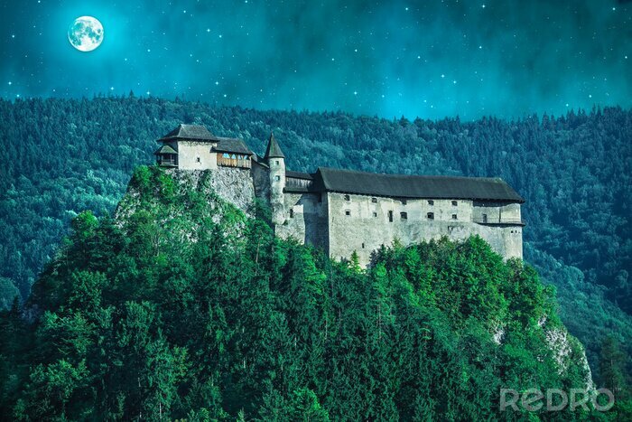 Canvas Eng kasteel in een bos bij nacht met maan