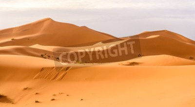 Canvas Erg Chebbi zandduinen van de Marokkaanse woestijn