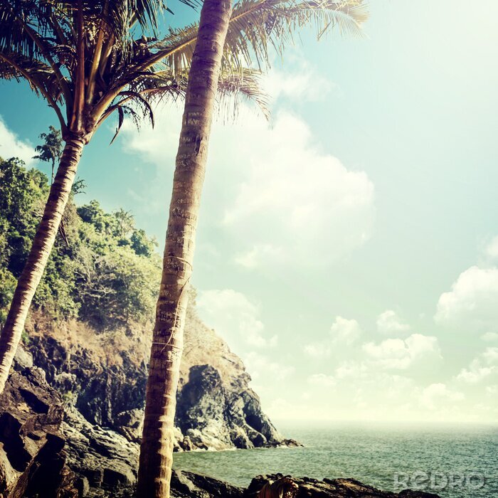 Canvas Exotische zeenatuur in vintage stijl