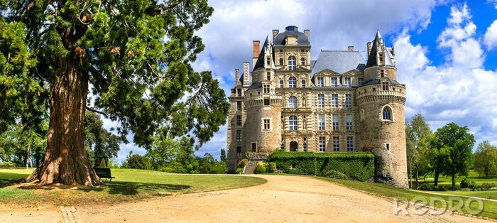 Canvas Famous castles of Loire valley - beautiful romantic Chateau de Brissac, Landmarks of France
