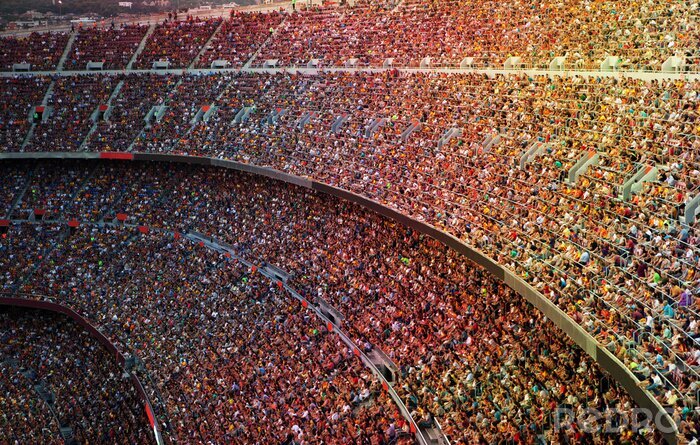 Canvas Fans in het stadion