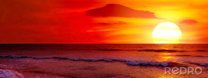 Canvas Fantastic sunset over ocean