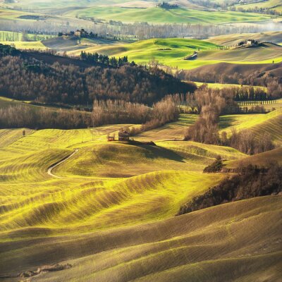 Canvas Fantastisch landschap geschilderd licht in Toscane met lange schaduwen