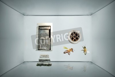 Canvas Fantasy background with door, circular window and two bees inside a grey box carton