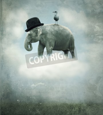 Canvas Fantasy surrealistic background with an elephant with a hat and a gull that flying on a cloud in the sky