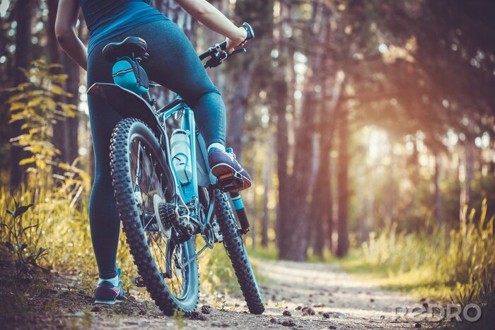 Canvas fietser mountainbike in het bos