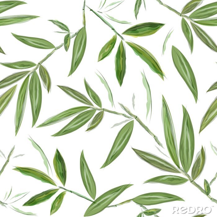 Canvas Fijne bamboe bladeren