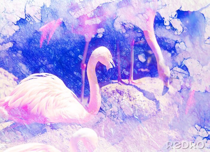 Canvas Flamingo's en aquarelvlekken