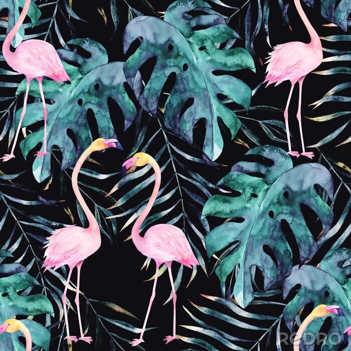 Canvas Flamingo's en monsterabladeren op een zwarte achtergrond