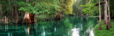 Canvas Florida lente-gevoed rivierpanorama