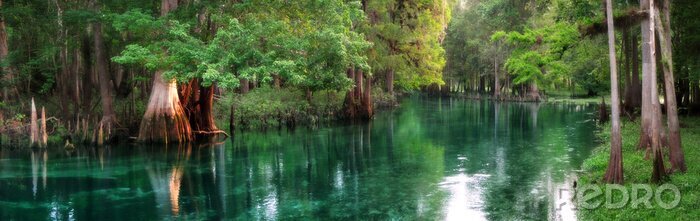 Canvas Florida lente-gevoed rivierpanorama