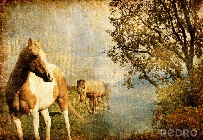 Canvas Foto van paarden in retrostijl