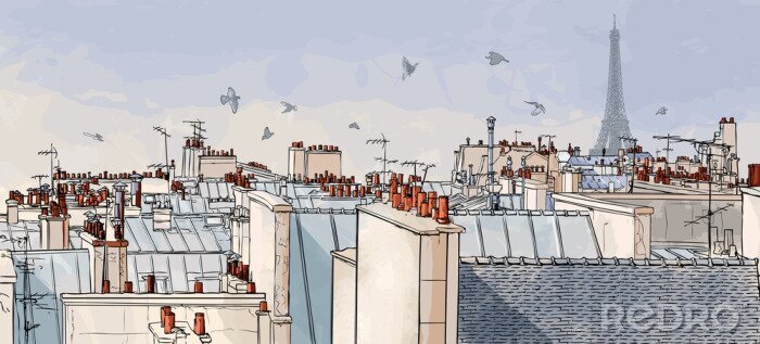 Canvas Frankrijk - Parijs daken
