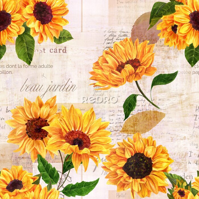 Canvas Franse zonnebloemen