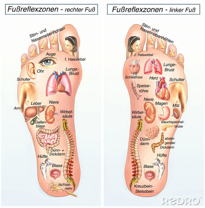 Canvas Fußreflexzonen.Rechter voet linkervoet