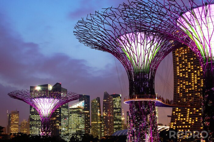 Canvas Gardens by the Bay 's nachts. Singapore