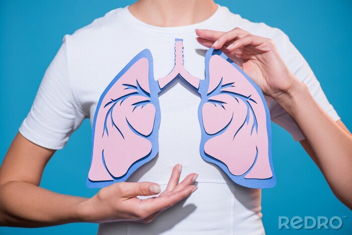 Canvas gedeeltelijke weergave van de vrouw in witte t-shirt met papier vervaardigde longen op blauwe achtergrond