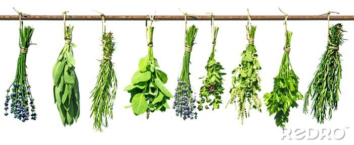 Canvas Gedroogde kruidenboeketten