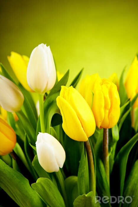 Canvas Gele bloemen in een boeket