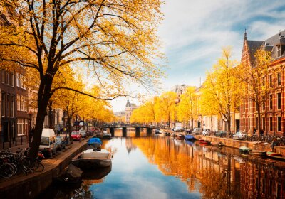 Gele herfst in Amsterdam