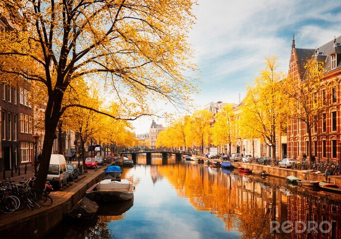 Canvas Gele herfst in Amsterdam