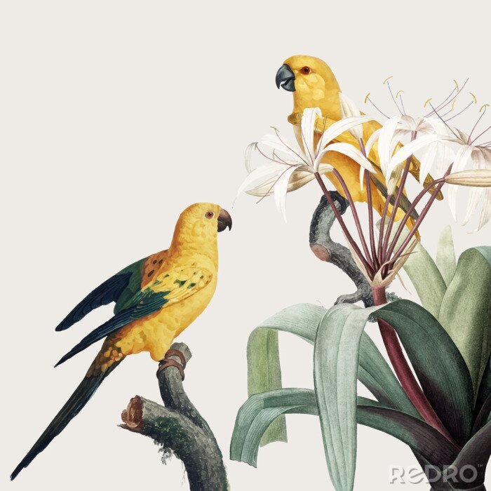 Canvas Gele papegaaien en tropische vegetatie