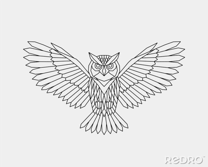 Canvas Geometrische uil tijdens de vlucht