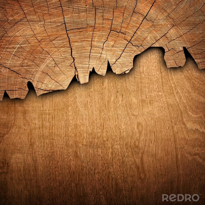 Canvas Gescheurd hout