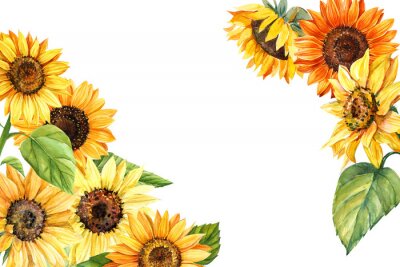 Canvas Geschilderde illustratie met zonnebloemen