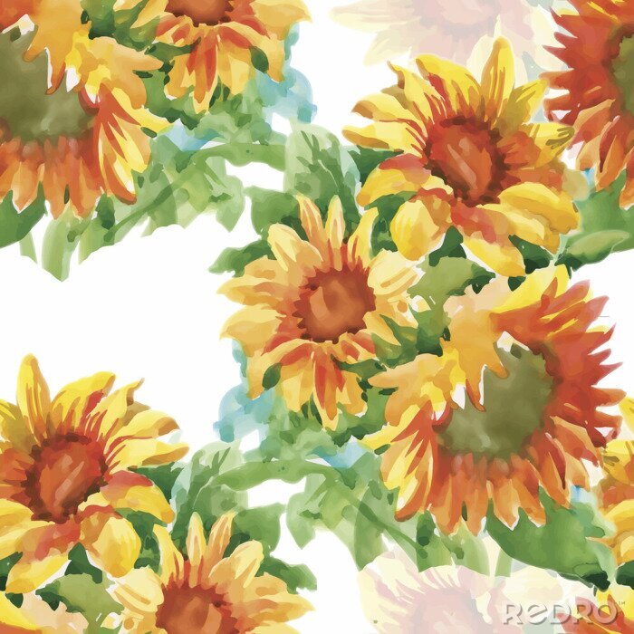 Canvas Geschilderde zonnebloemen op een witte achtergrond