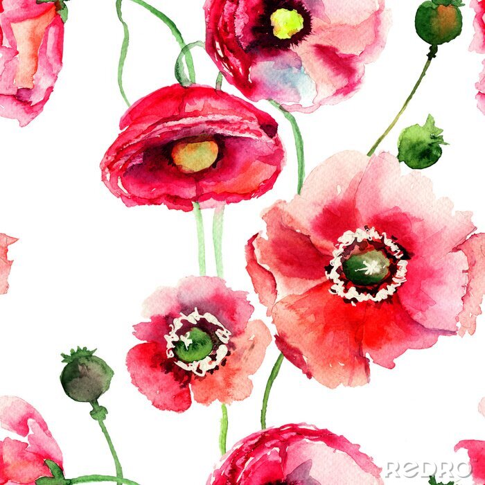 Canvas Gestileerde Poppy bloemen illustratie