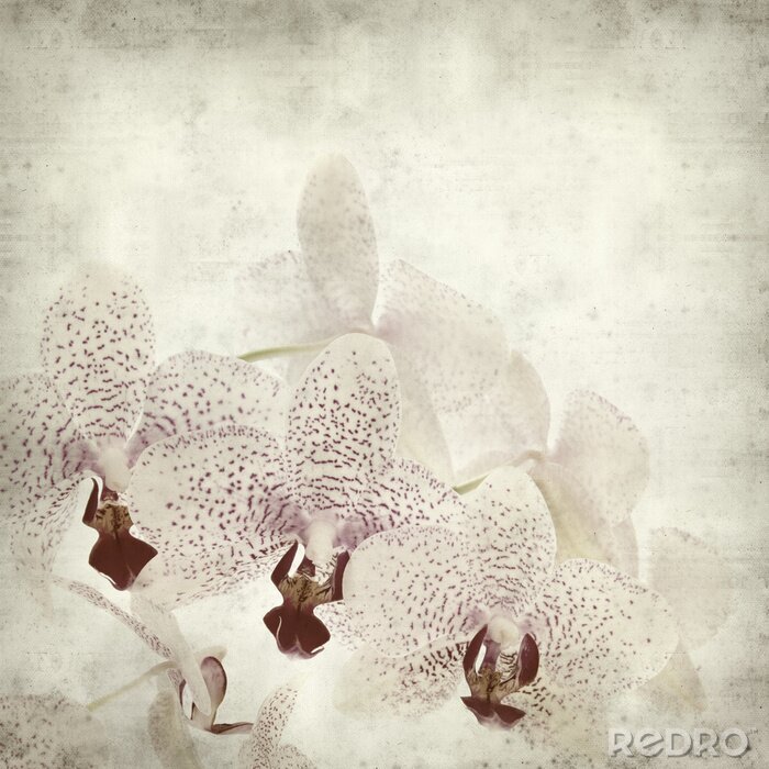 Canvas getextureerde oud papier achtergrond met