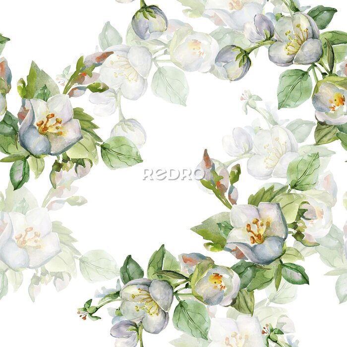 Canvas Geurige jasmijnbloemen