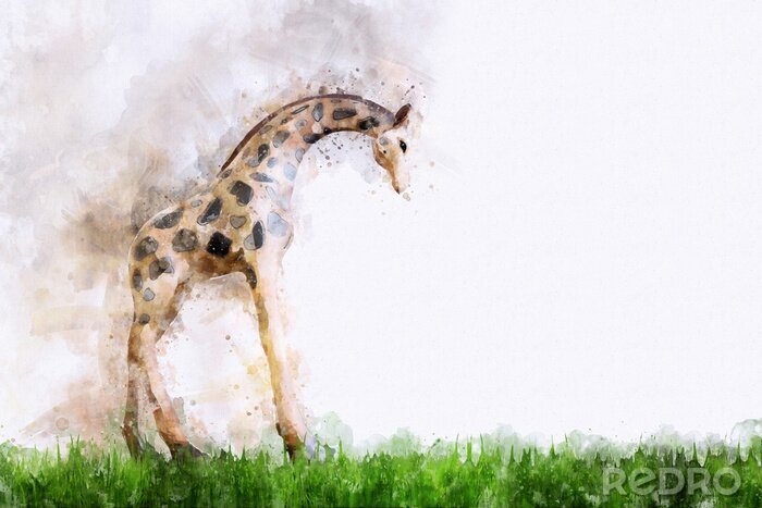 Canvas Giraffe geschilderd met waterverf