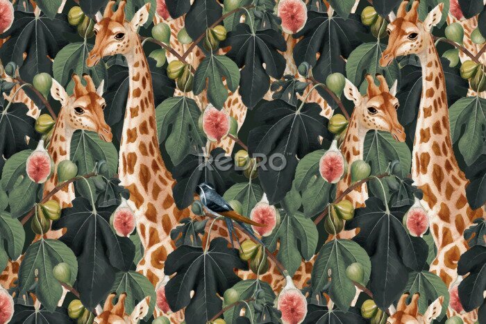 Canvas Giraffen in de vijgenboomgaard