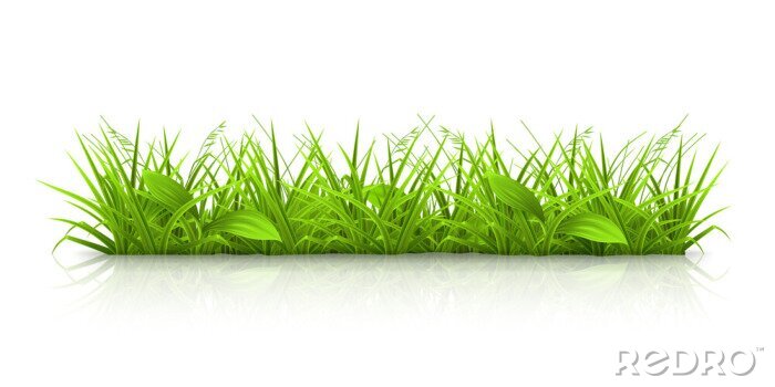 Canvas Grafisch gras op witte achtergrond