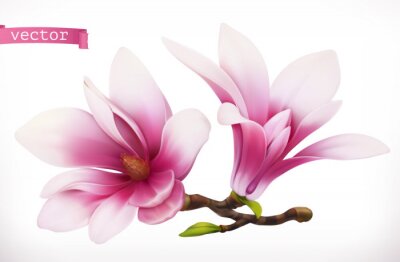 Grafische magnolia's in drie dimensies