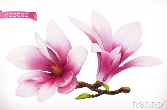 Canvas Grafische magnolia's in drie dimensies