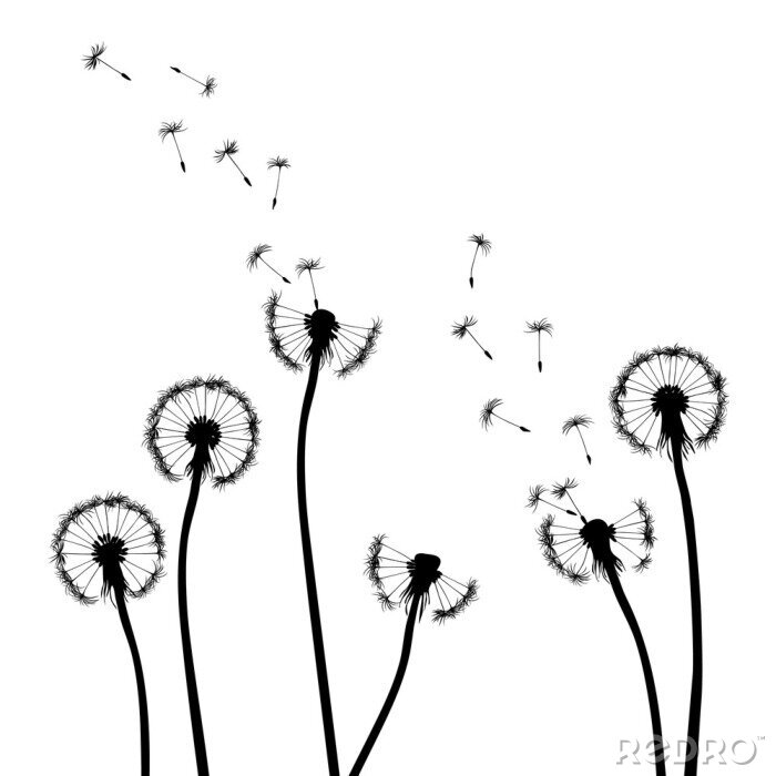 Canvas Grafische voorstelling van paardenbloemen