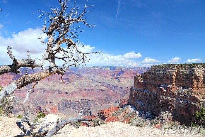 Canvas Grand Canyon Mohave Point