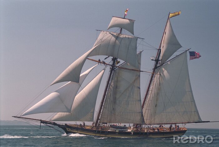 Canvas grand voilier en regate