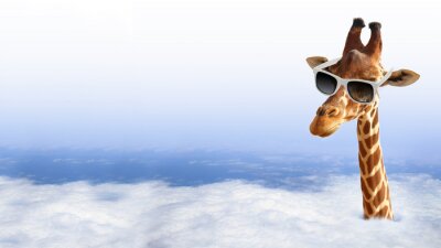 Grappige giraf met een zonnebril die uit de wolken