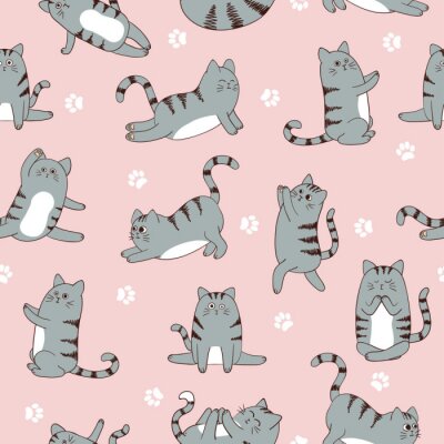 Grijze katten op roze achtergrond