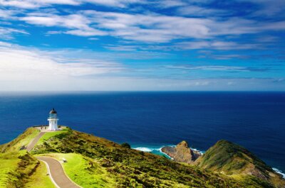 Canvas Groen landschap in Nieuw-Zeeland