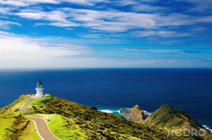 Canvas Groen landschap in Nieuw-Zeeland