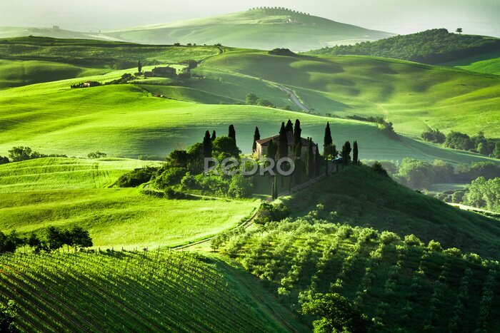 Canvas Groen landschap van Toscane