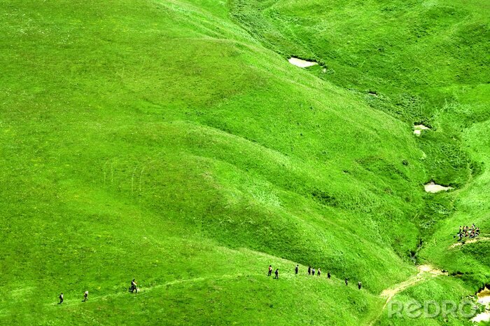 Canvas Groen veld in een vallei