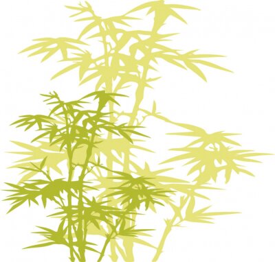 Groene bamboe illustratie