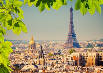 Groene bladeren en panorama van Parijs